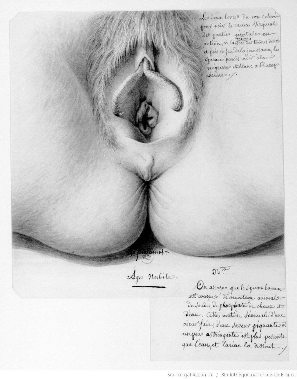 Жан-Жак Лекё Чувственные зарисовки ©Bibliothèque nationale de France https://bnf.fr