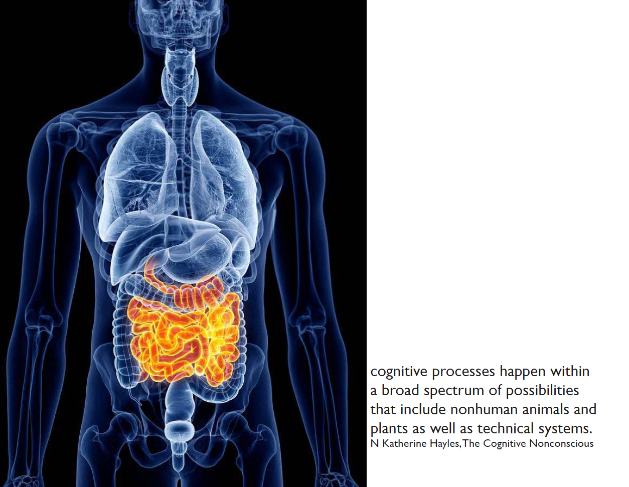 Надпись на слайде: Познавательные процессы происходят внутри широкого спектра возможностей, которые включают нечеловеческих животных и растения, равно как и технические системы. Кэтрин Н. Хейлз, Познавательное несознаваемое