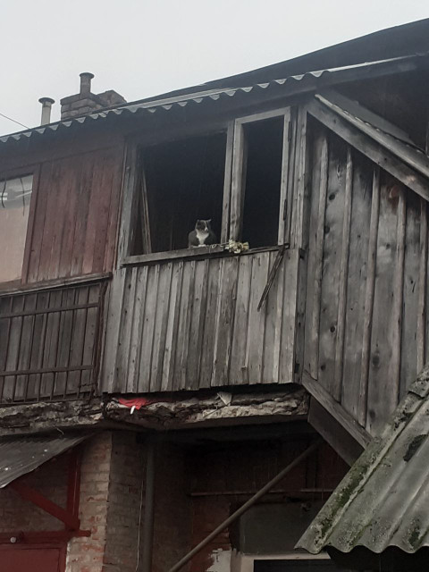 Райські яблучка