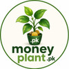 moneyplant