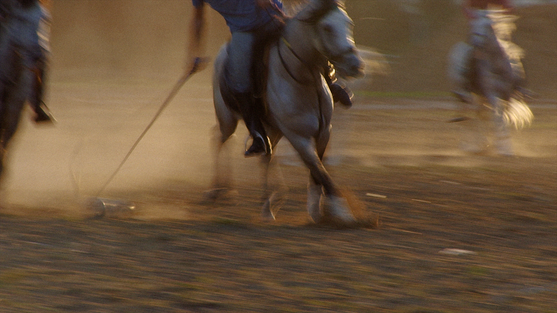 Screenshots from the film. Courtesy of the artist.