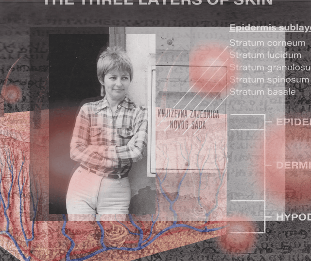 Юдита Шалго. Нежная кожа (перевод с сербского)