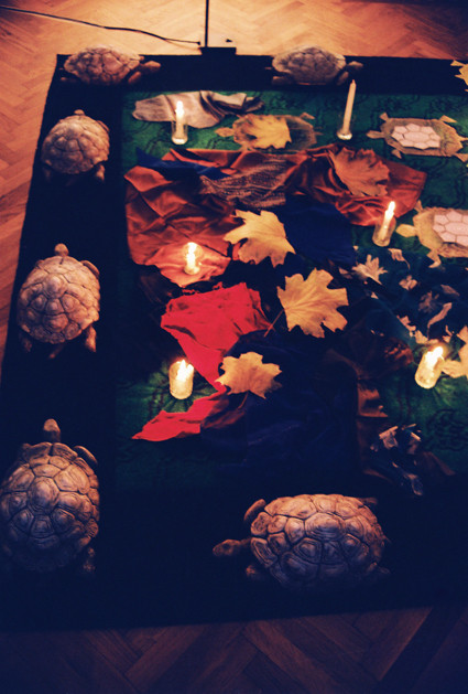 Т. Даими. "Пробуждение", фрагмент инсталляции, 2003