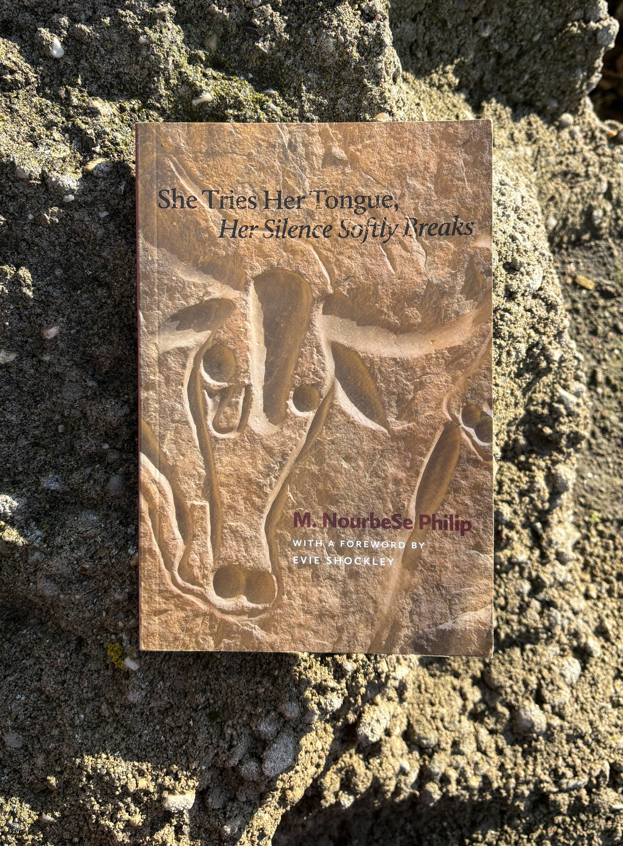 Изображение на обложке: наскальный рисунок с изображением плачущей коровы [фр. La Vache Qui Pleure], недалеко от Джанета, Алжир © Michael Runkel / Robert Harding Picture Library / age fotostock
