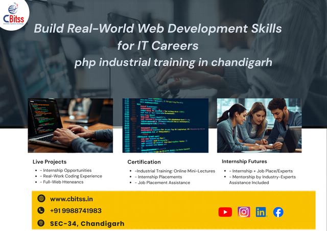 Building a Strong Future in Web Development