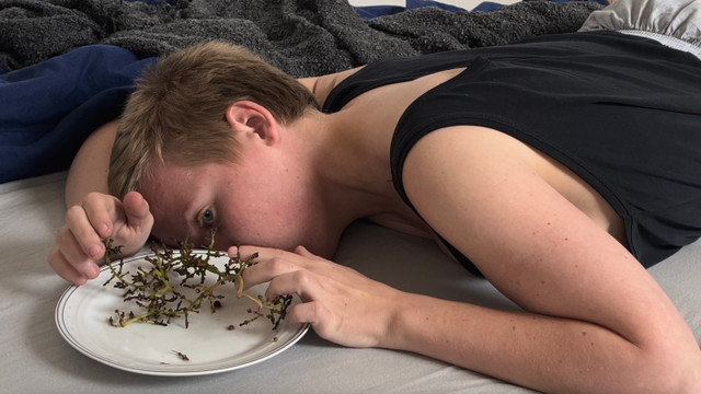 и жили они долго