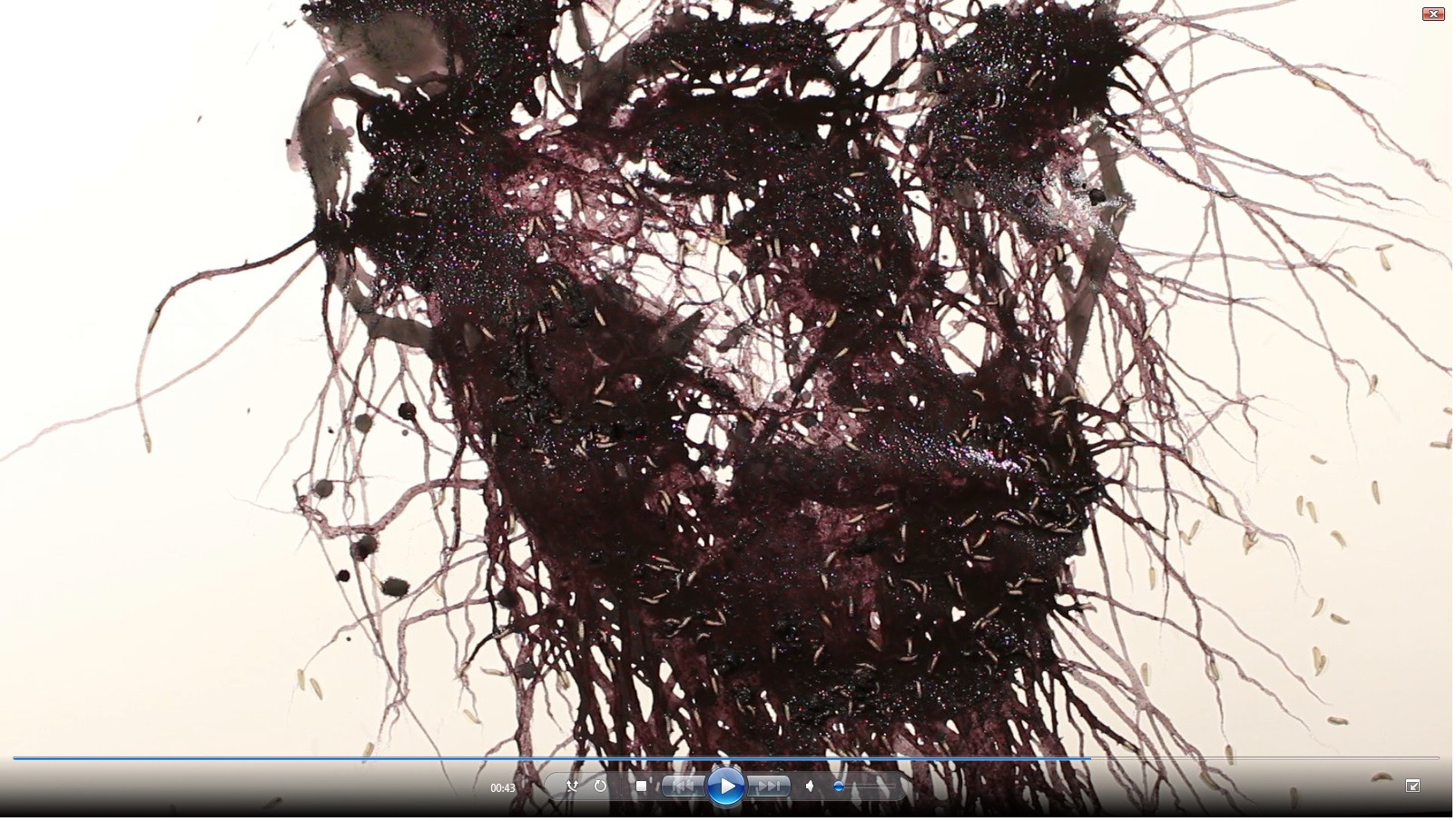 Video art OEDIPUS AND THE SPHINX by Eli Yudovich