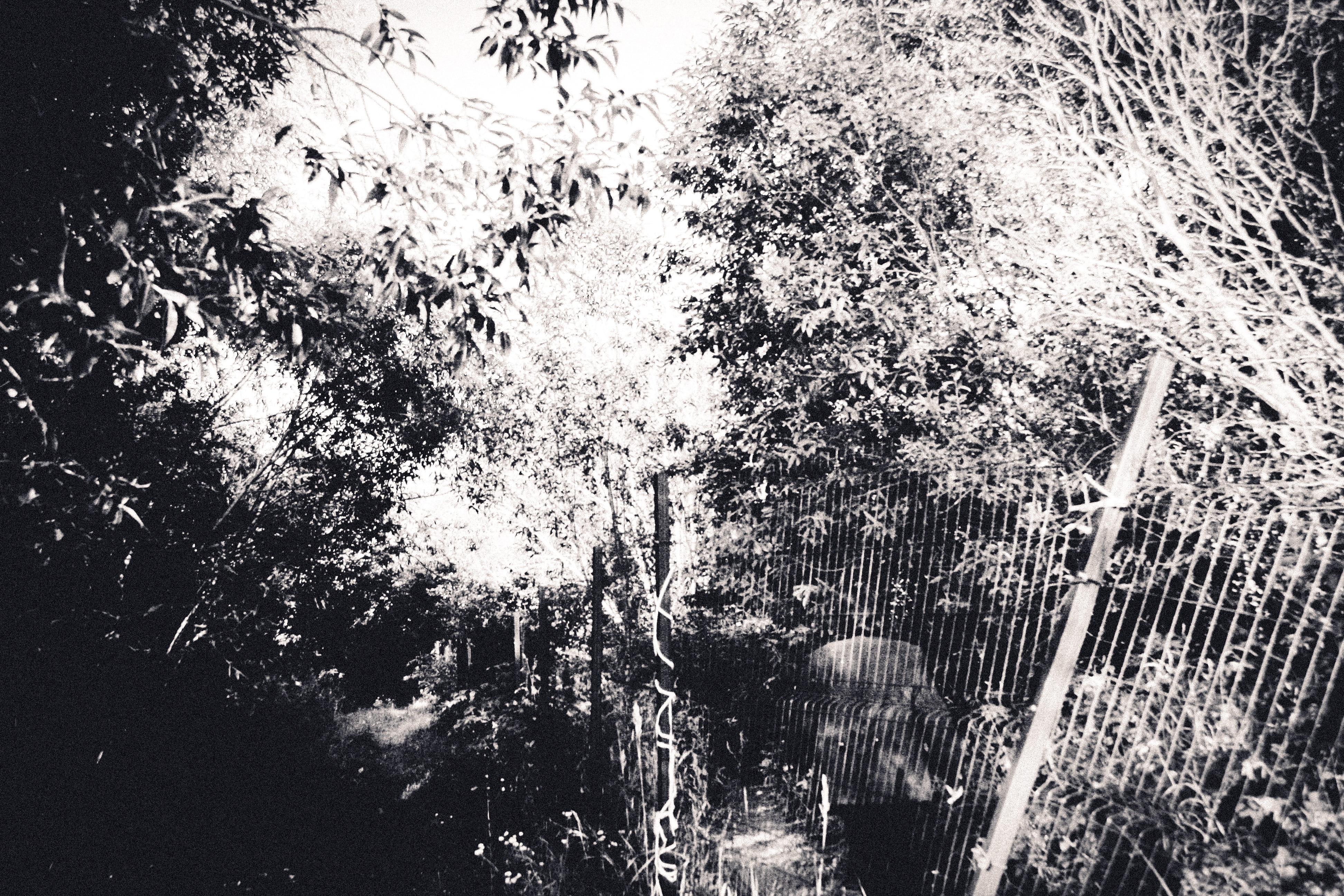 фото: роберт ялунин