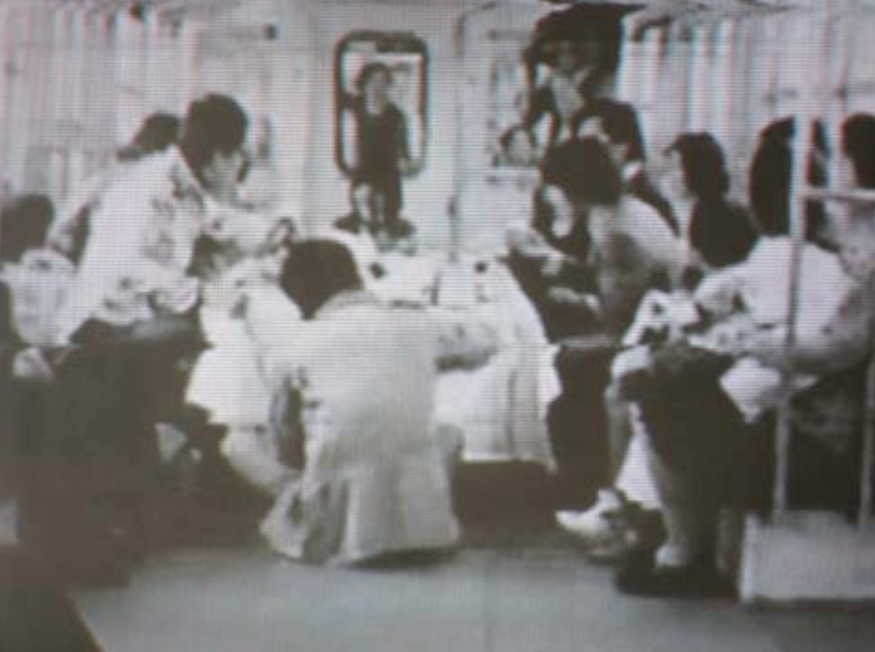 Nakajima Ko and Video Earth. Video Picnic. 1975. Courtesy: https://tinyurl.com/ybr3tqwt