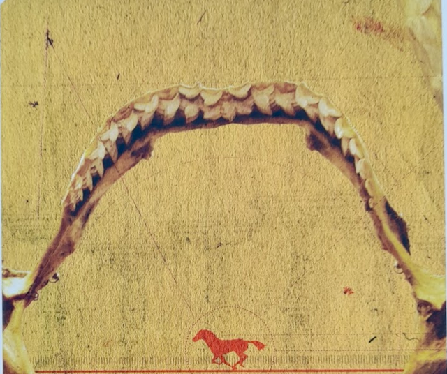 Пьер Клоссовски. Ницше и воплощающая мысль