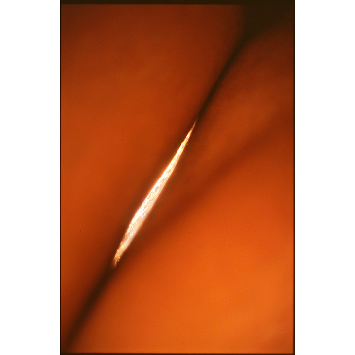 Splitting of the Flæsh&nbsp;— Spli’gh’tting of the Flæsh.Magma of The Light as aMagma of The Color as aMagma as Figure, ……………….as a figure of speech.The Light and Colour amphiboly.From “The Flæsh” series. Lambda print 30×30 cm, 60×90 cm, cibachrome 30×45 cm.