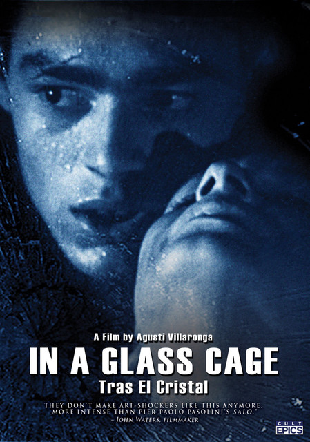 The Seduction of the Abyss: Mechanisms of Fascist Consciousness in Agusti Villaronga’s In a Glass Cage (1987)