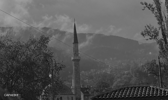 (D6) Diary: Sarajevo 