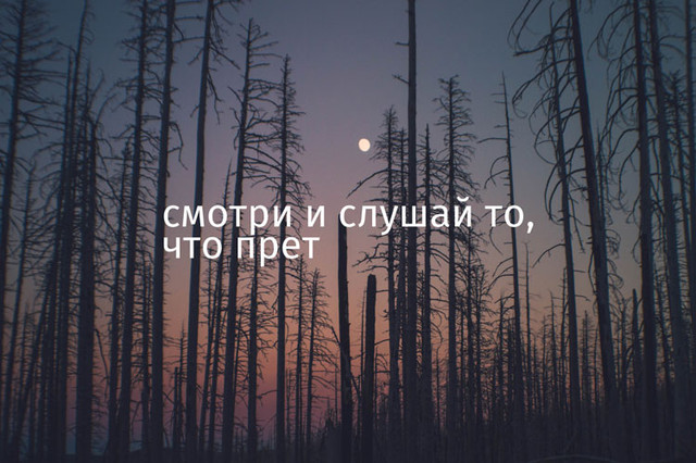 Про кино: о том, как учусь снимать кино и зачем