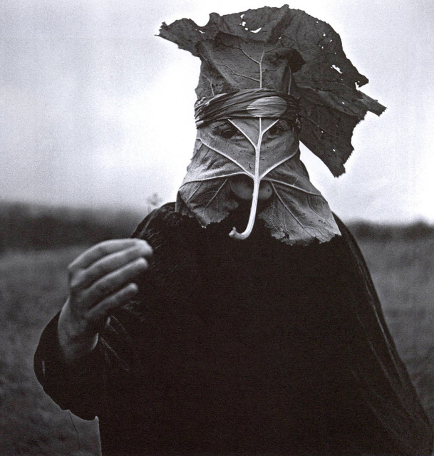 Магия как радикальное встраивание в нашу сеть отношений: беседа Софи Странд с Дэвидом Абрамом