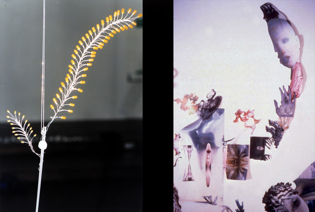 Стив Гудман(Kode-9). Hyper-C: Взлом сети