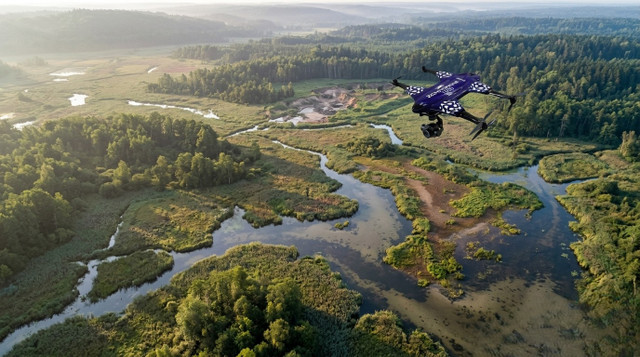 The Ecology Seen from Above: What Drones Change About Environmental Observation