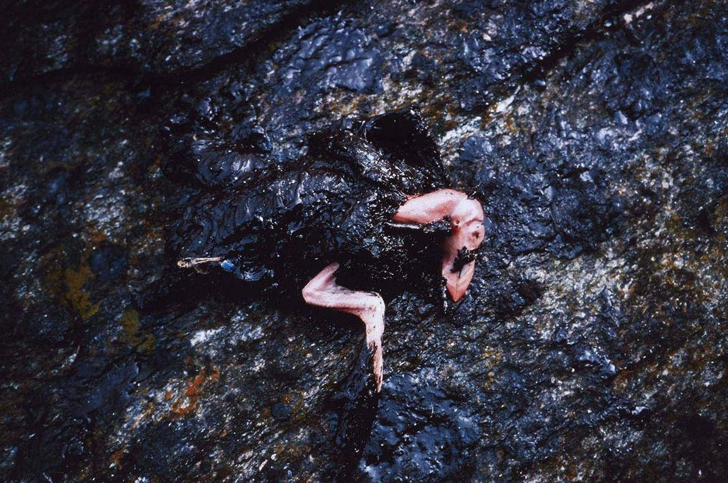 Allan Sekula. Black tide / Marea Negra, 2002&nbsp;— 2003