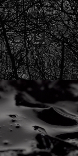 Станислав Холодных. Происхождение несчастья