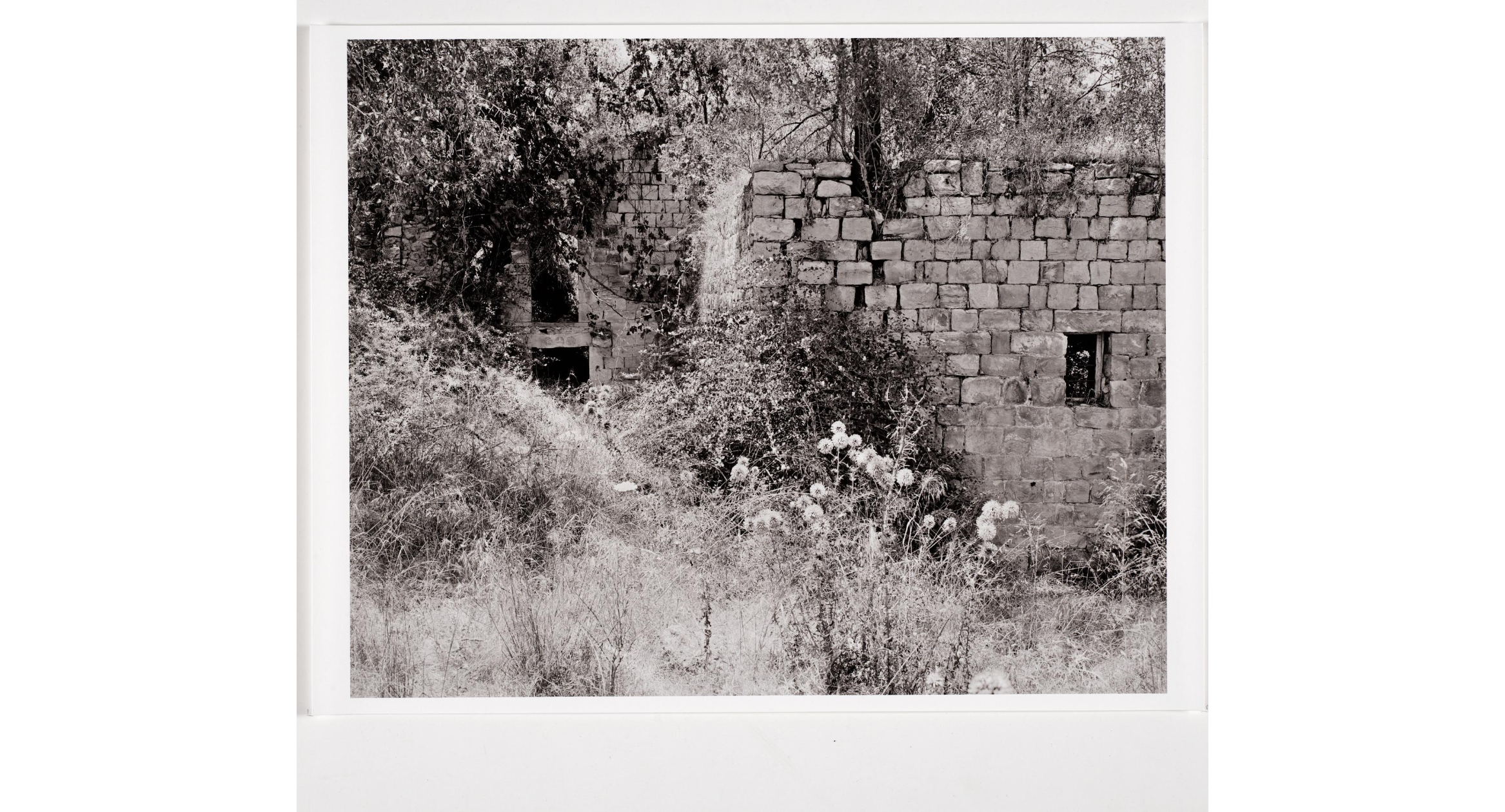  Deborah Bright, Nakba, 2006
