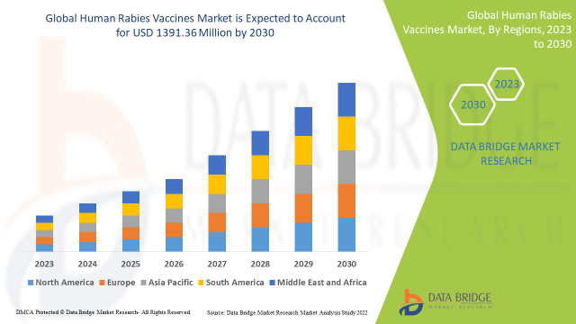 Human Rabies Vaccines Market Size, Share, Trends, Growth Opportunities, Key Drivers and Competitive Outlook