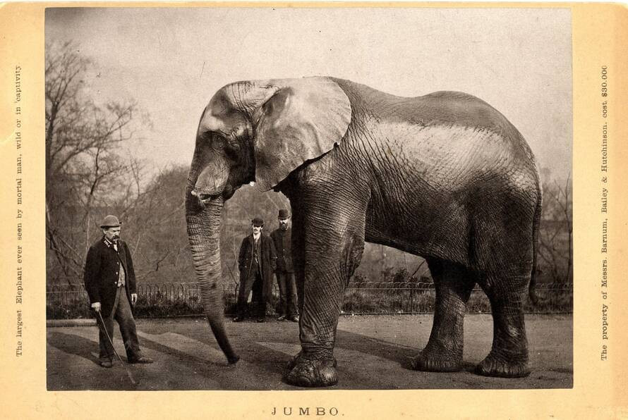 Michael Scott and Jumbo. Photograph: Digital Collections and Archives, Tufts University