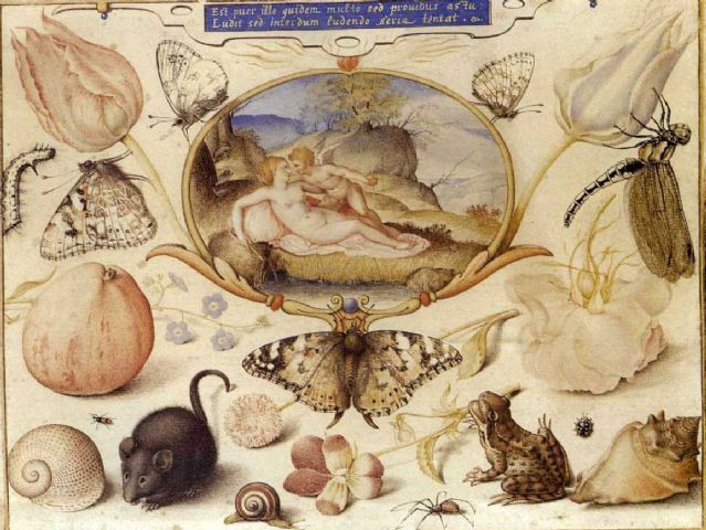 Апология Нарцисса: эротический экологизм Герберта Маркузе