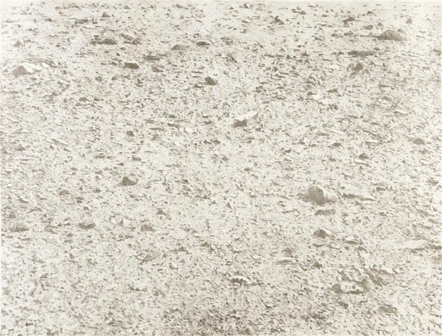 Элисон Хурвиц. Безымянная жена Сизифа пылесосит пустыни за минимальную оплату