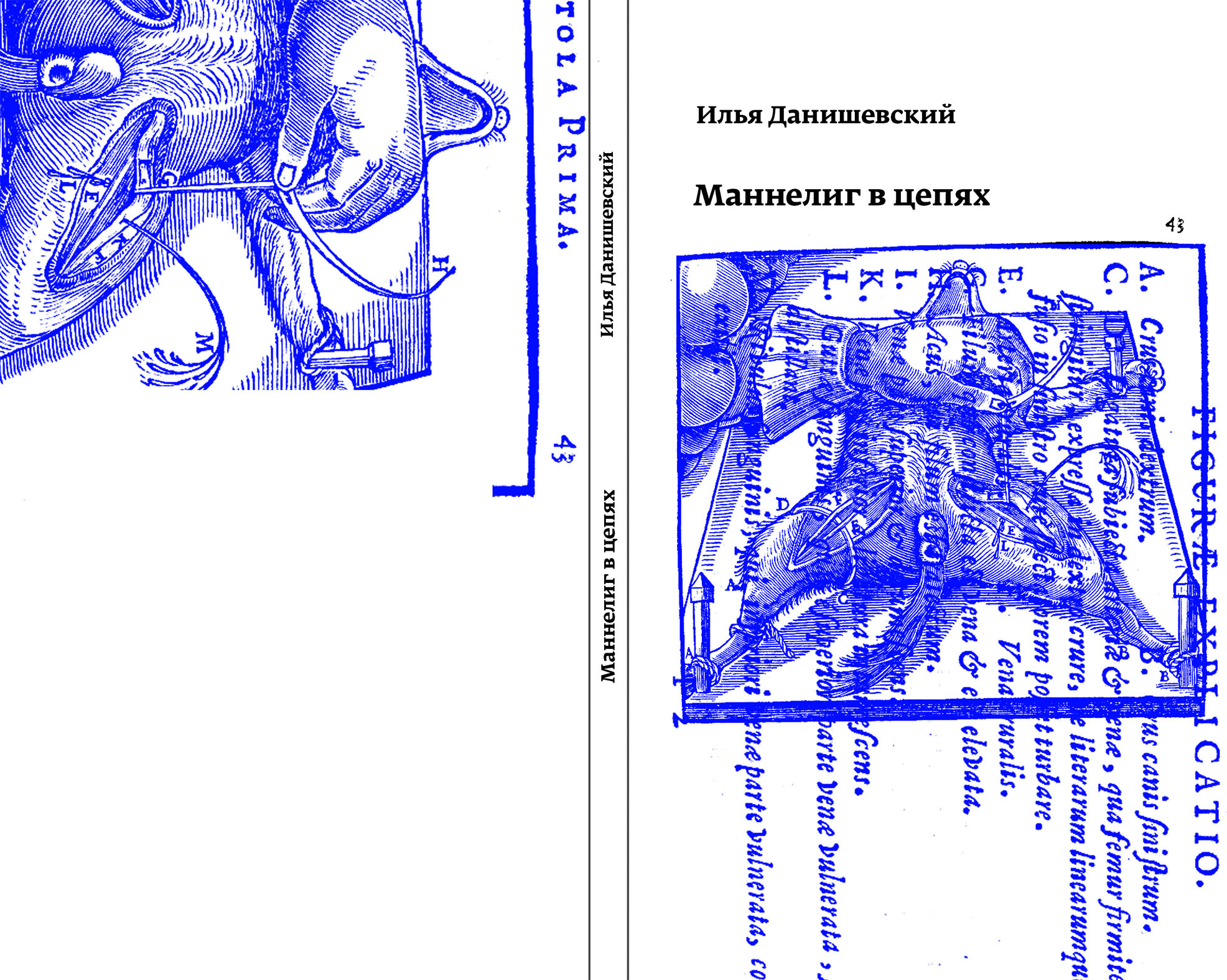 Илья Данишевский, «Маннелиг в&nbsp;цепях» (СПб.: Порядок слов, Новые стихи, 2018)