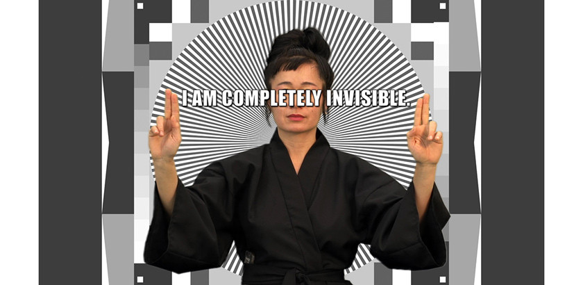Hito Steyerl. How Not to Be Seen: A Fucking Didactic Educational .MOV File. 2013