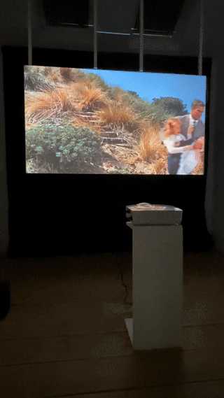 Garrett Pruter, The Birds @ Trafalgar Avenue Gallery 