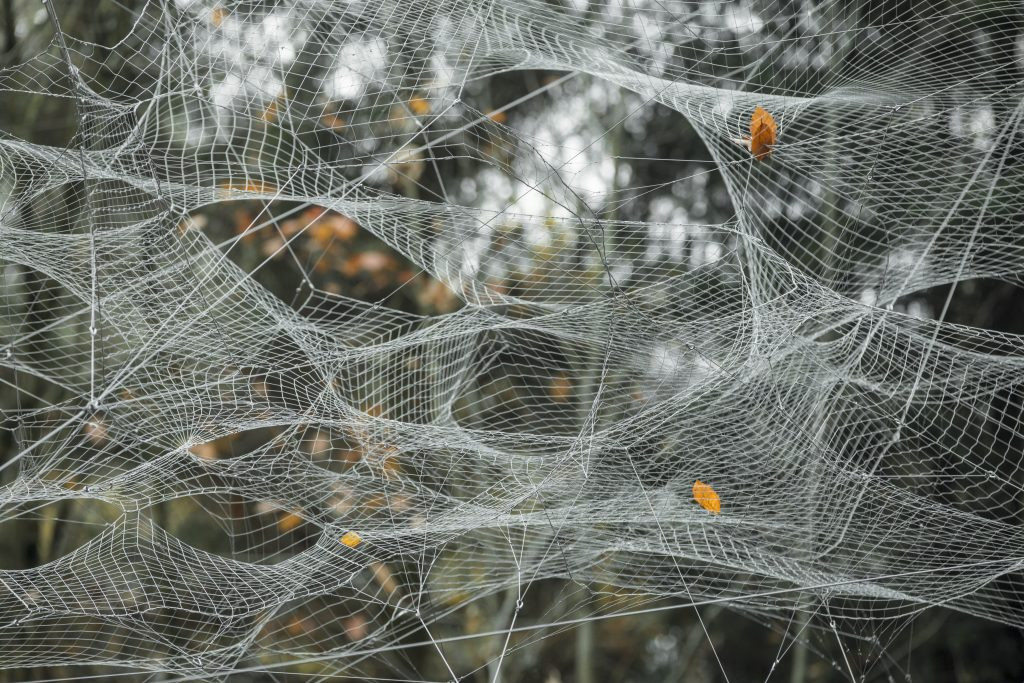 Tomas Saraceno, Gravitational Waves © studiotomassaraceno.org