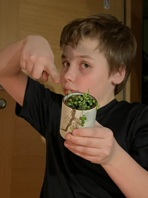 Кирилл Горин