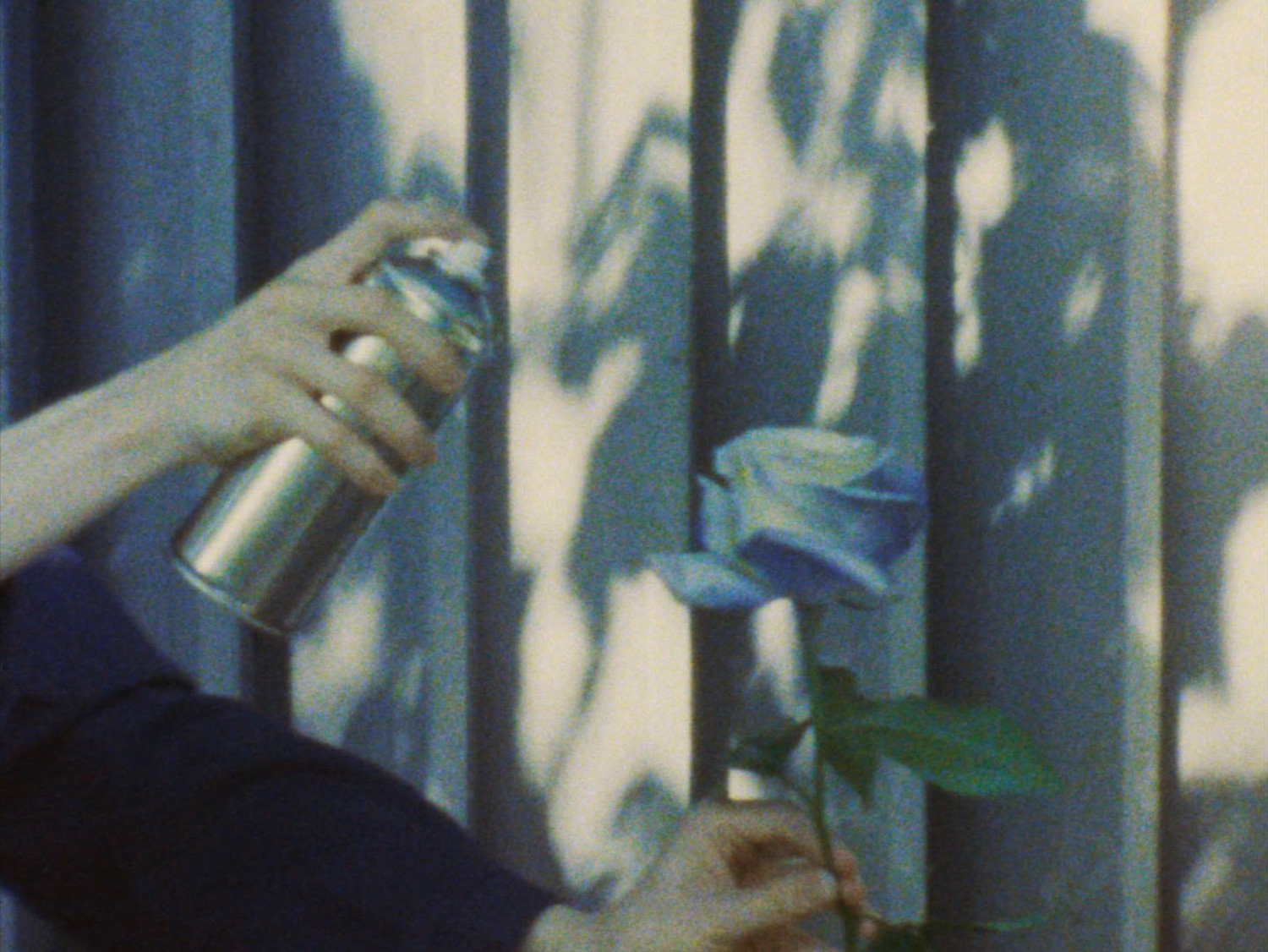 Кадр из&nbsp;фильма «Синяя роза» Ольги Корсун, 2020&nbsp;год