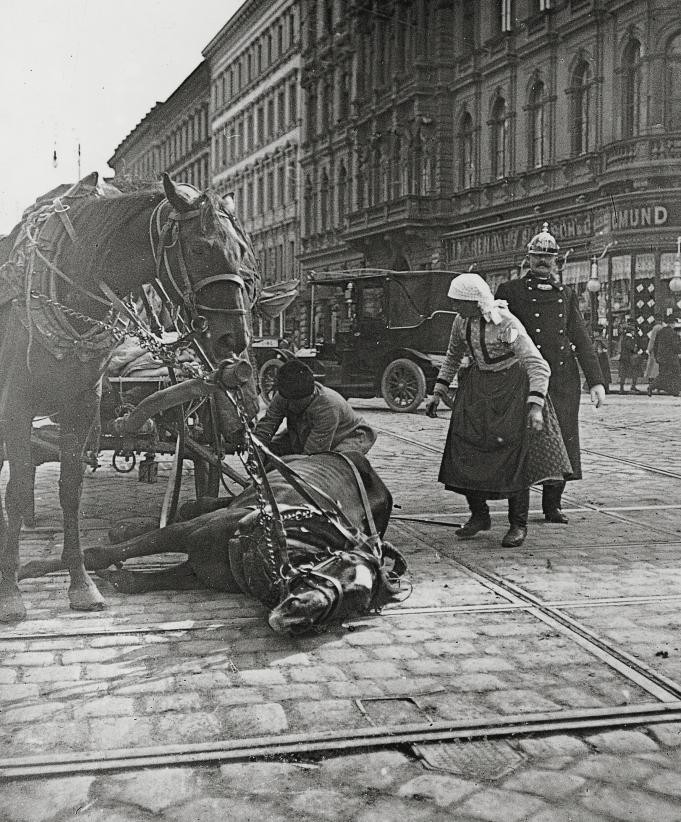 Вена начала 20 века. Фотограф&nbsp;— Эмиль Майер