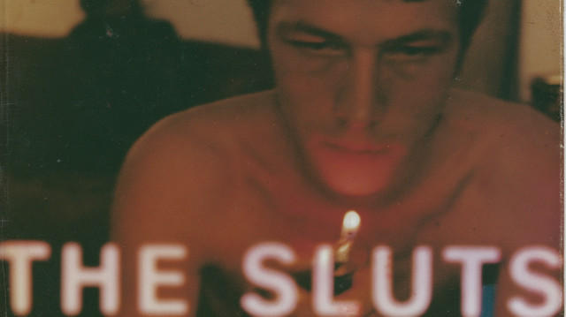КАК УСТРОЕН РОМАН «THE SLUTS»