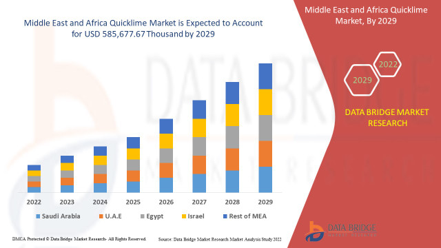 Middle East and Africa Quicklime Market Size, Share, Trends, Growth Opportunities, Key Drivers and Competitive Outlook