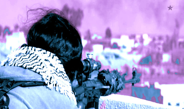 Изучение опыта курдских женских освободительных движений.
Воображая распад системы национального государства