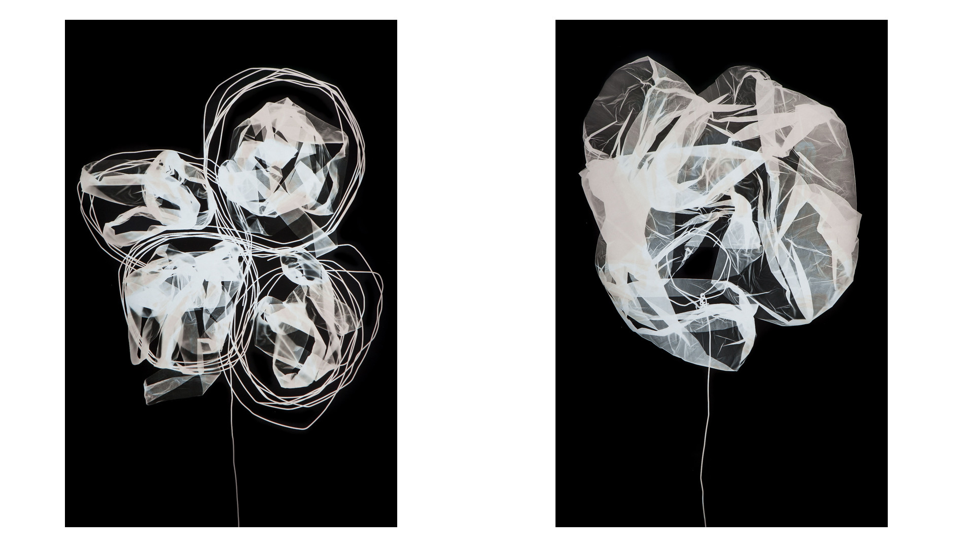 Ахроматическое цветение, серия из&nbsp;40 фотограмм. Ортохроматическая плёнка типа лит, 58×38&nbsp;см. 2014-2015