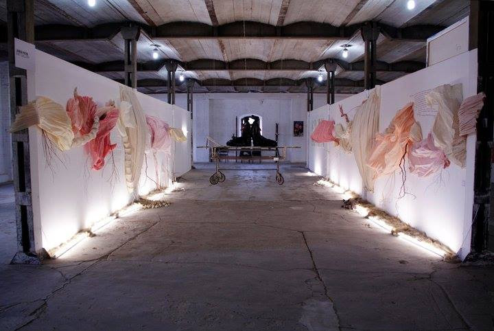 Марья Дмитриева. «Граница / Поле боя». Инсталляция, Rizzordi Art Foundation. 