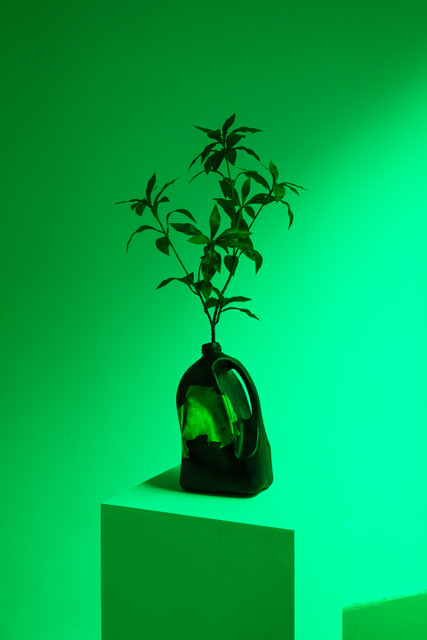 Audible Garden: Of Memory, Oxymorons, and Hyperreality (London, 2023)