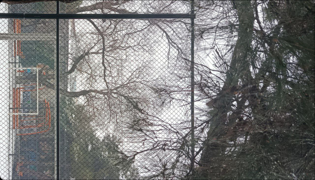 неполитические стихи