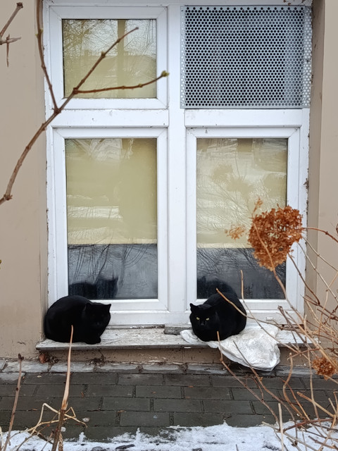 Как мы писали письмо министру 