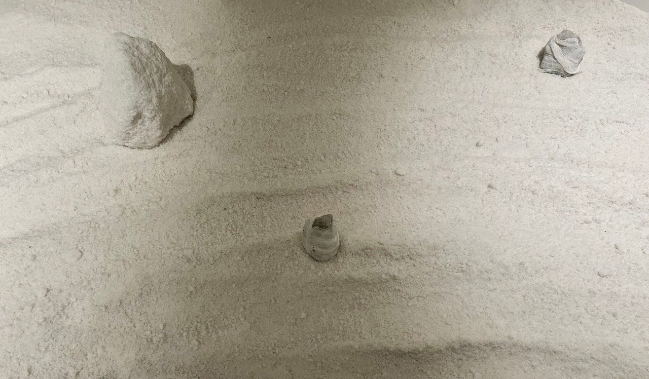 Ayman Zedani, “Between Desert Seas” (2021) 