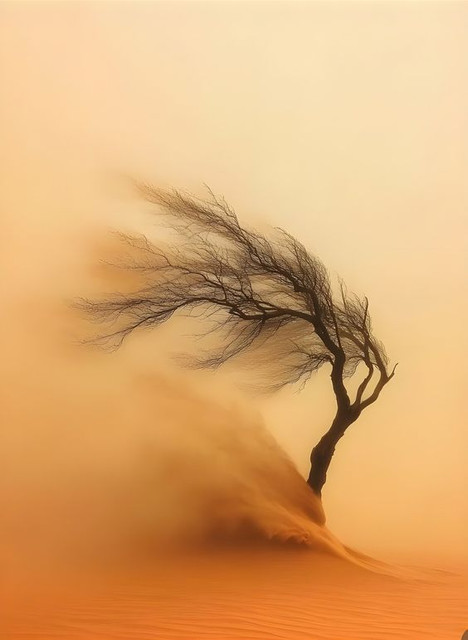 THE WORLD IS BURNING - A POEM BY ALEXIS KARPOUZOS
