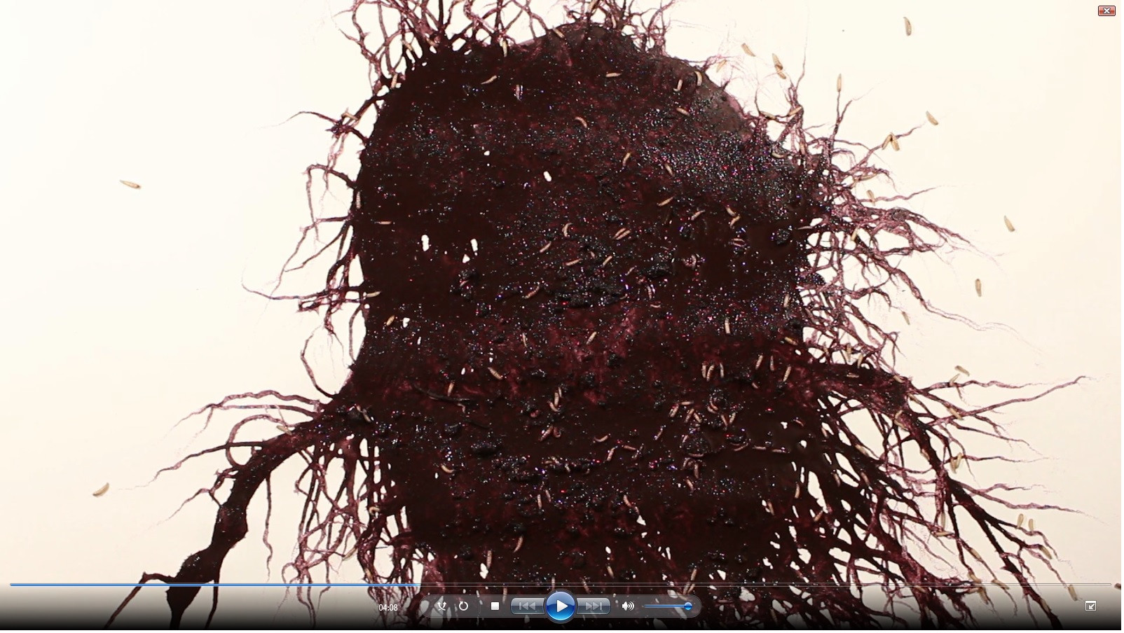 Video art OEDIPUS AND THE SPHINX by Eli Yudovich