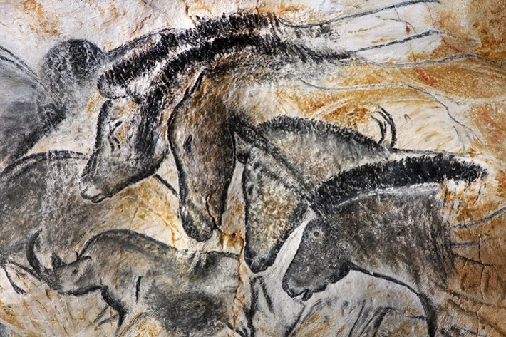 Одно из&nbsp;древнейших изображений тарпанов. Наскальный рисунок в&nbsp;пещере Шове (Франция). Люди обитали в&nbsp;пещере 37000-33500 л.н., а&nbsp;затем 31000-28000 л.н. Всего в&nbsp;пещере 435 рисунков животных