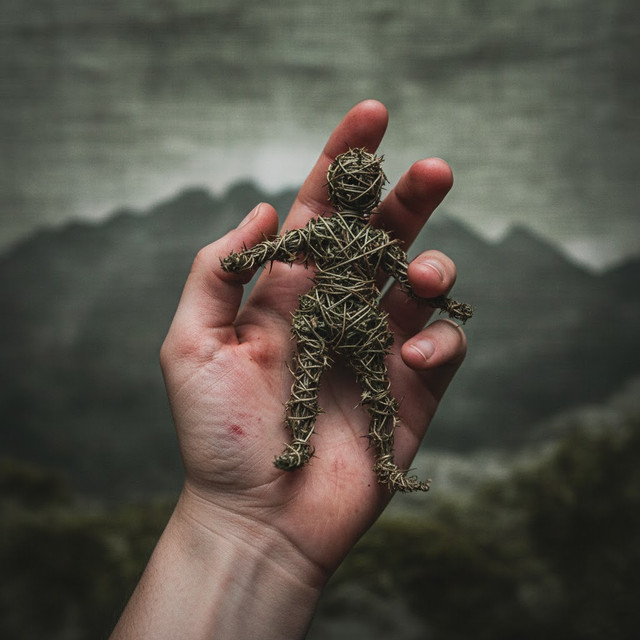 Дикие лебеди 