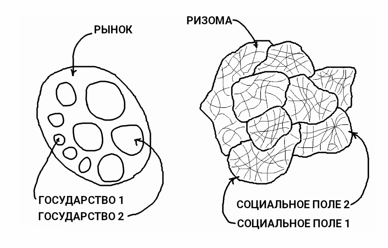 Схематичное изображение универсального рынка с&nbsp;государствами на&nbsp;нём и&nbsp;социальных полей с&nbsp;ризомой.