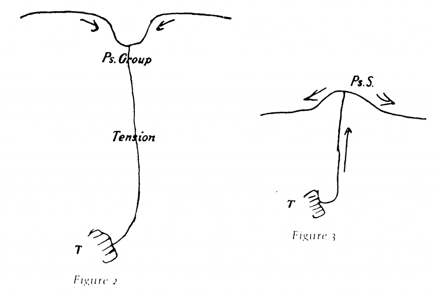 Схемы меланхолии (слева) и&nbsp;мании (справа) из&nbsp;«Черновика G»